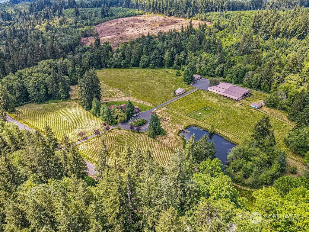 397 Deep Creek Road Chehalis, WA 98532 - Photo 4 of 34 a view of a yard with an outdoor space and seating area