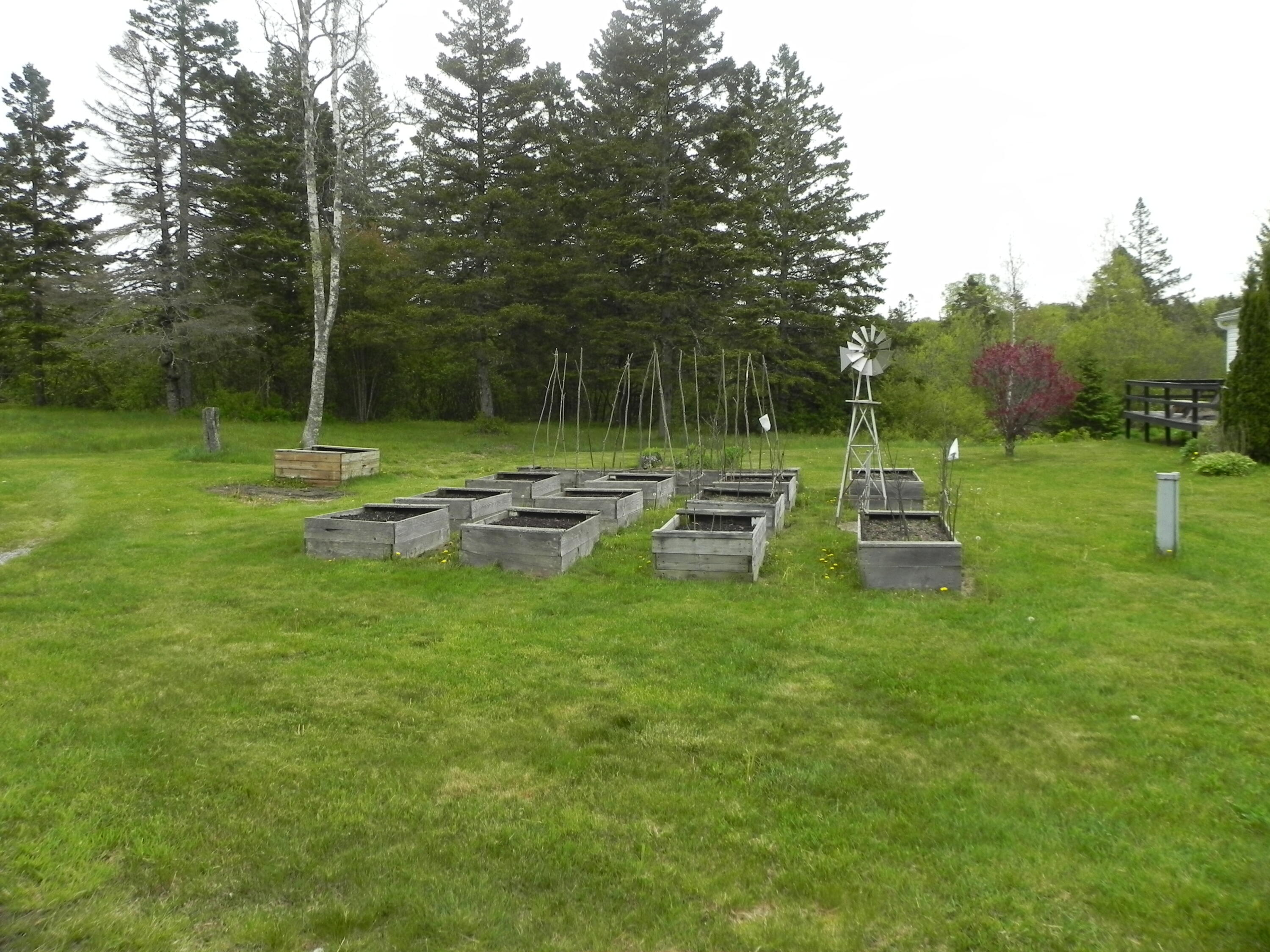 1096 County Road Lubec, ME 04652 - Photo 16 of 39 DSCN9674