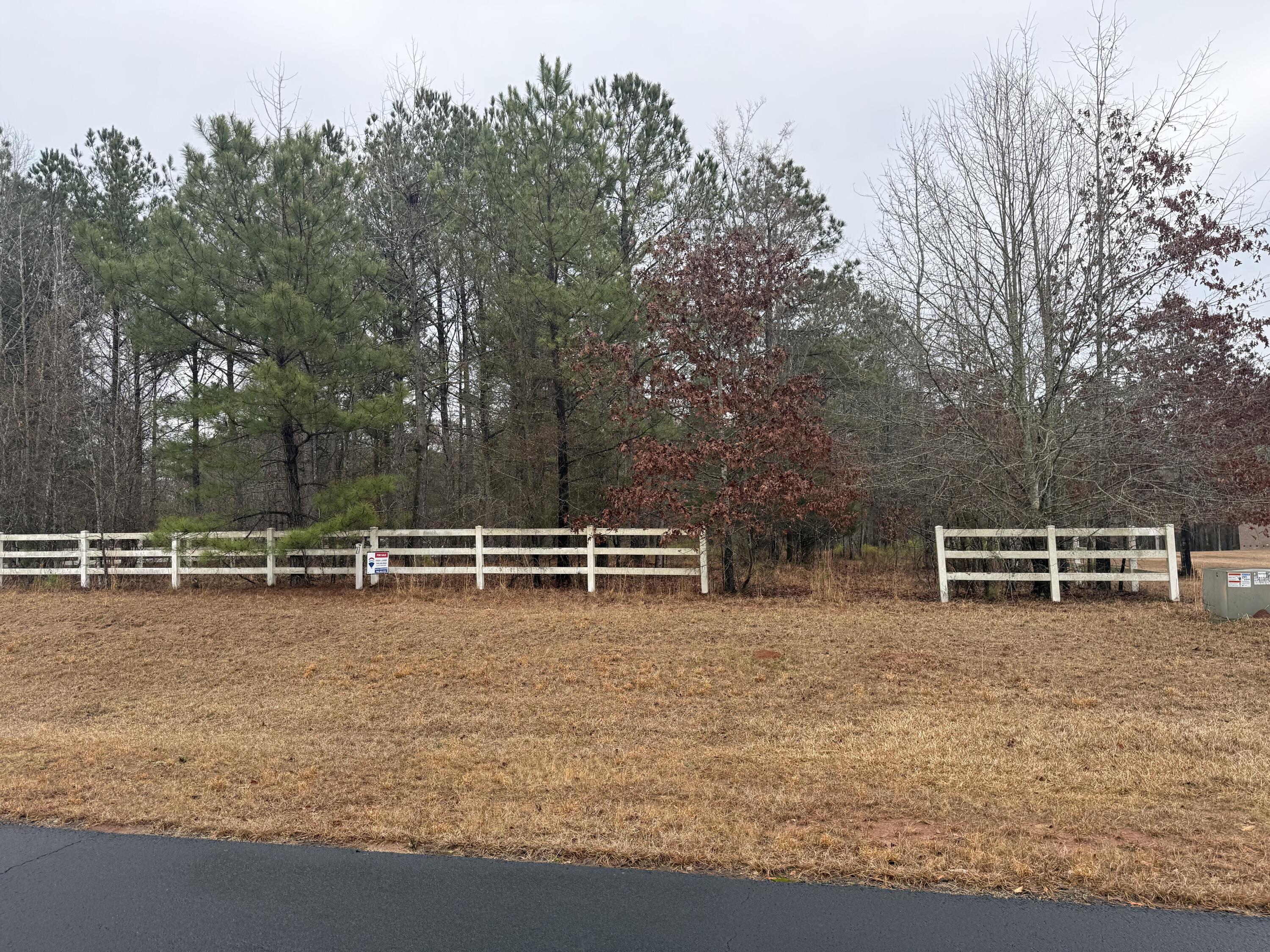 Lot 27 South Pointe Court Tignall, GA 30668 - Photo 1 of 1 IMG_3626