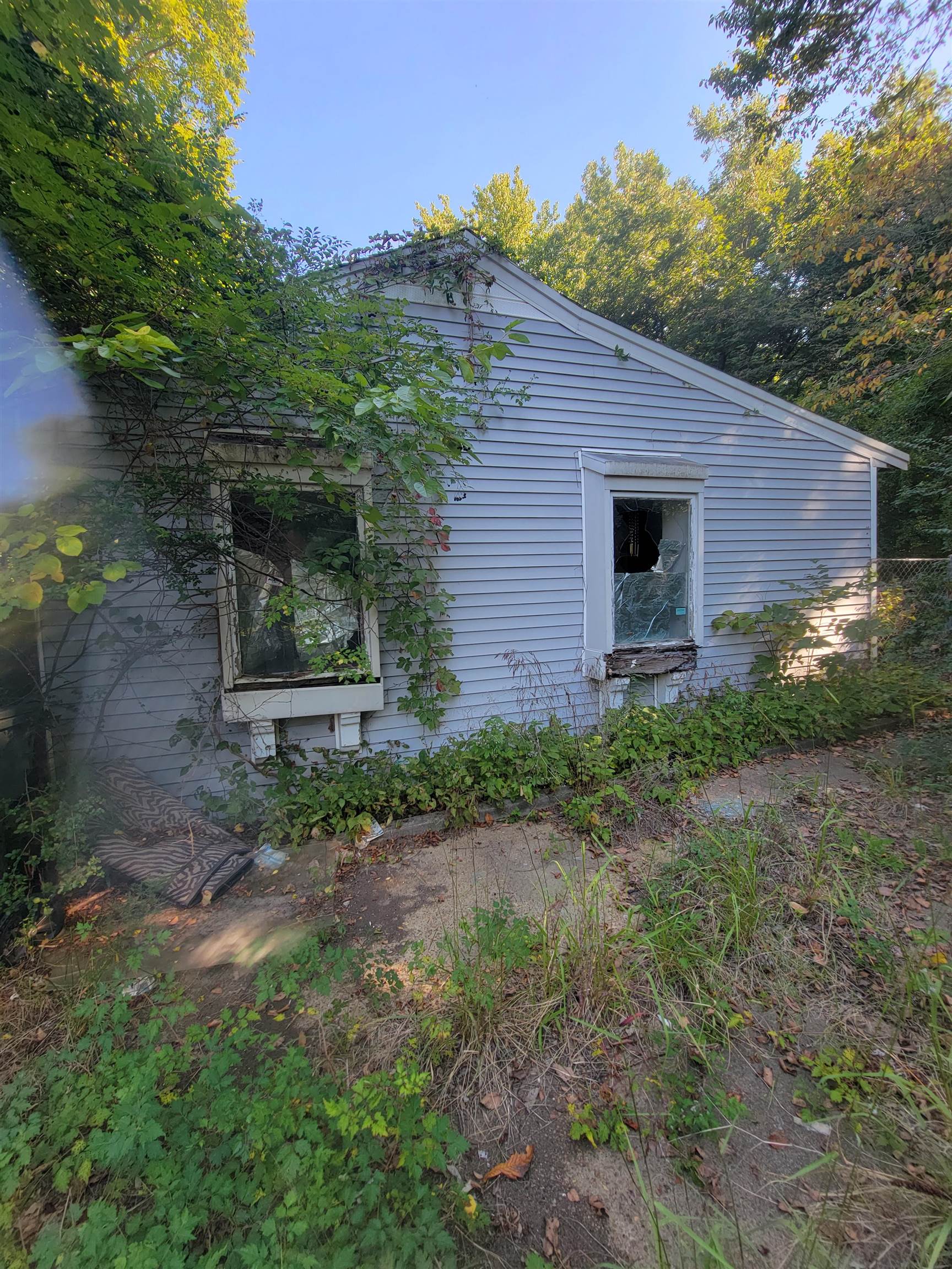 2840 Range Line Road Memphis, TN 38127 - Photo 2 of 5 a view of a backyard with plants and large tree