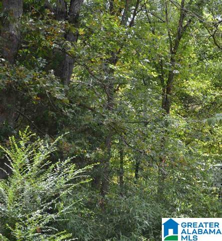 0 Valley Road Ragland, AL 35131 - Photo 4 of 5