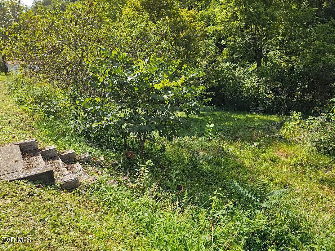 8835 Maple Road Pound, VA 24279 - Photo 3 of 10 1-3