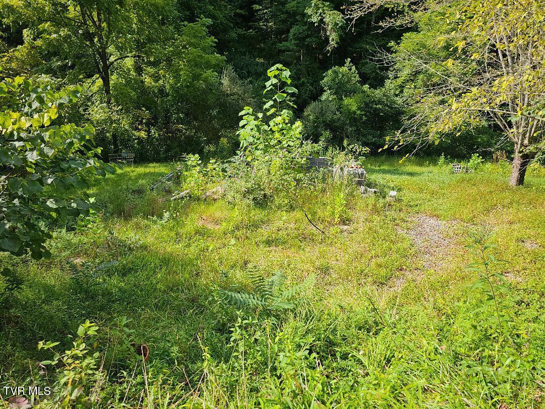 8835 Maple Road Pound, VA 24279 - Photo 5 of 10 1-5