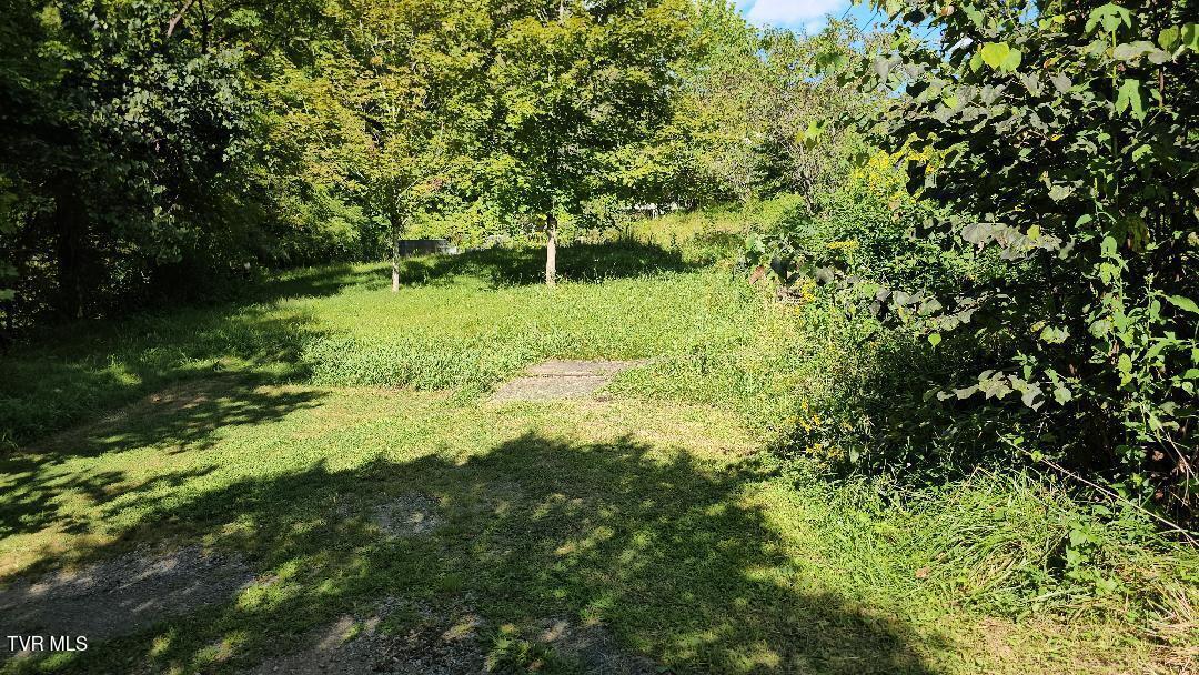 8835 Maple Road Pound, VA 24279 - Photo 10 of 10 1-10