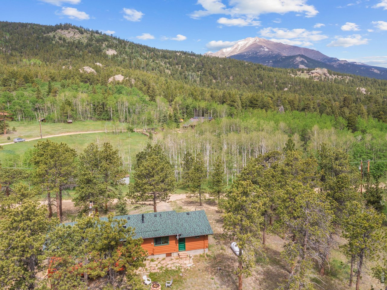 839 Ski Road Allenspark, CO 80510 - Photo 37 of 38