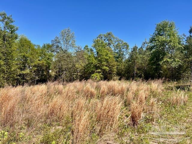 Lot 4-bs Buffalo Ridge Road Pace, FL 32571 - Photo 11 of 11