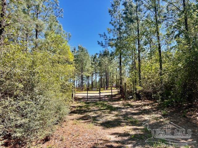 Lot 4-bs Buffalo Ridge Road Pace, FL 32571 - Photo 3 of 11