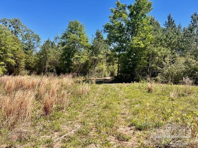 Lot 4-bs Buffalo Ridge Road Pace, FL 32571 - Photo 4 of 11