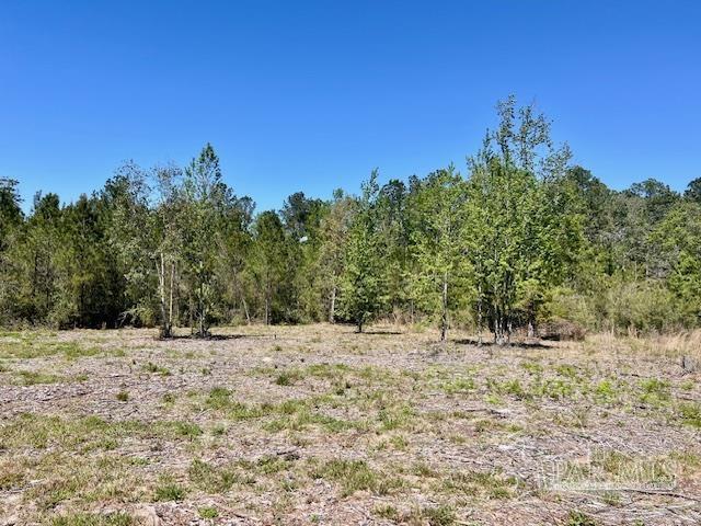 Lot 4-bs Buffalo Ridge Road Pace, FL 32571 - Photo 7 of 11