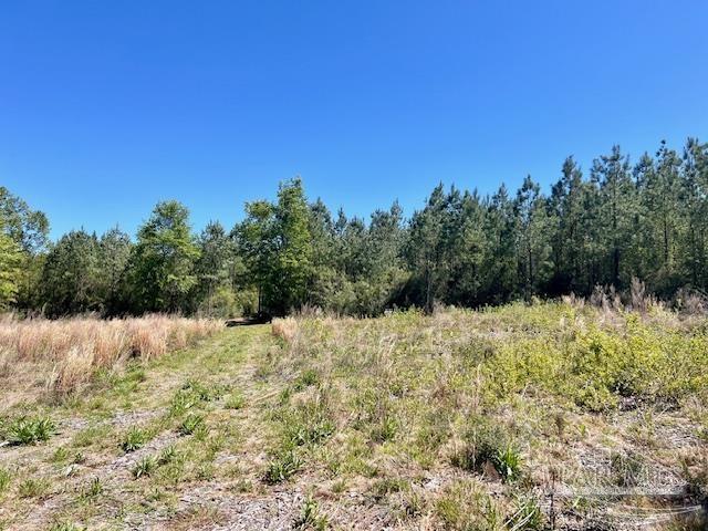 Lot 4-bs Buffalo Ridge Road Pace, FL 32571 - Photo 8 of 11