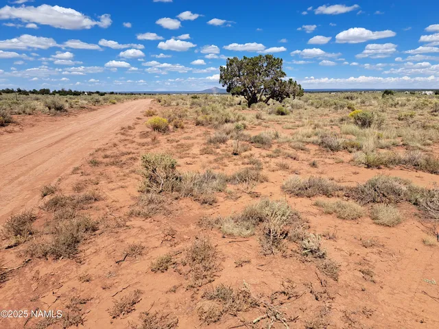a view of ocean and mountain