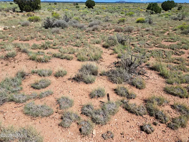 a view of a dry yard covered with snow