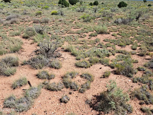 a view of a field with lots of bushes