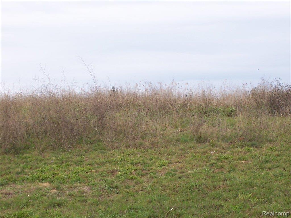 Unit44 Iosco Ridge Drive Gregory, MI 48137 - Photo 1 of 1