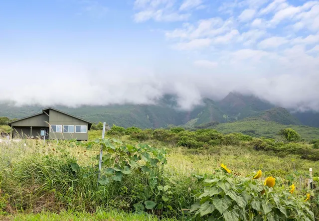 a backyard of a house with lots of green space and garden view
