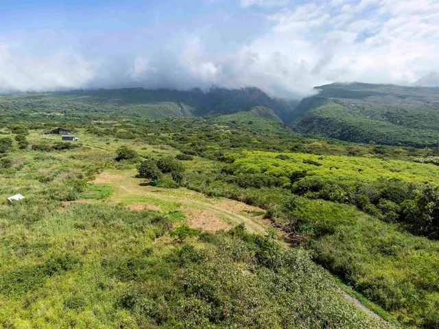 a view of a green field with lots of bushes