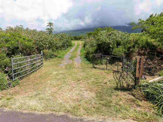 a view of outdoor space and garden