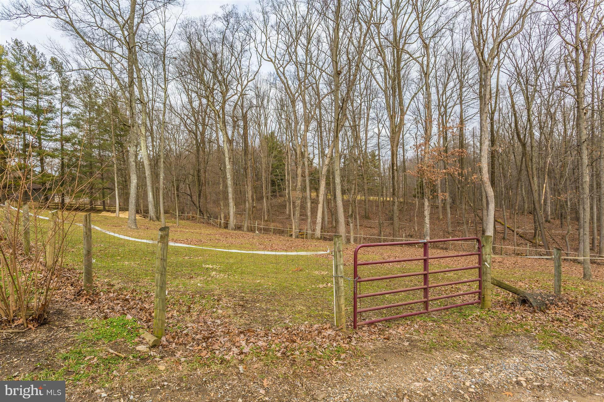 18350 New Cut Road Mount Airy, MD 21771 - Photo 6 of 26 View