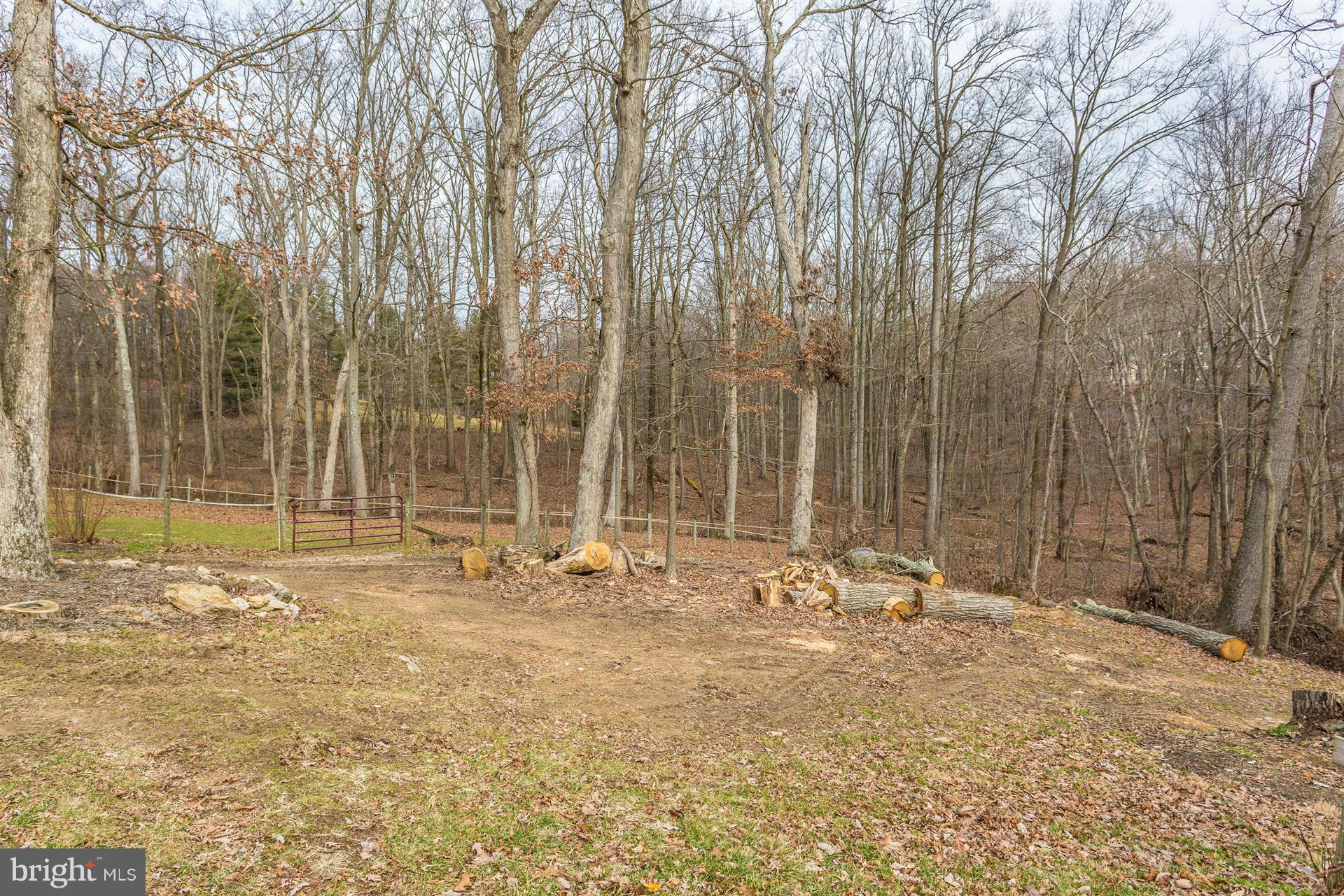 18350 New Cut Road Mount Airy, MD 21771 - Photo 7 of 26 View