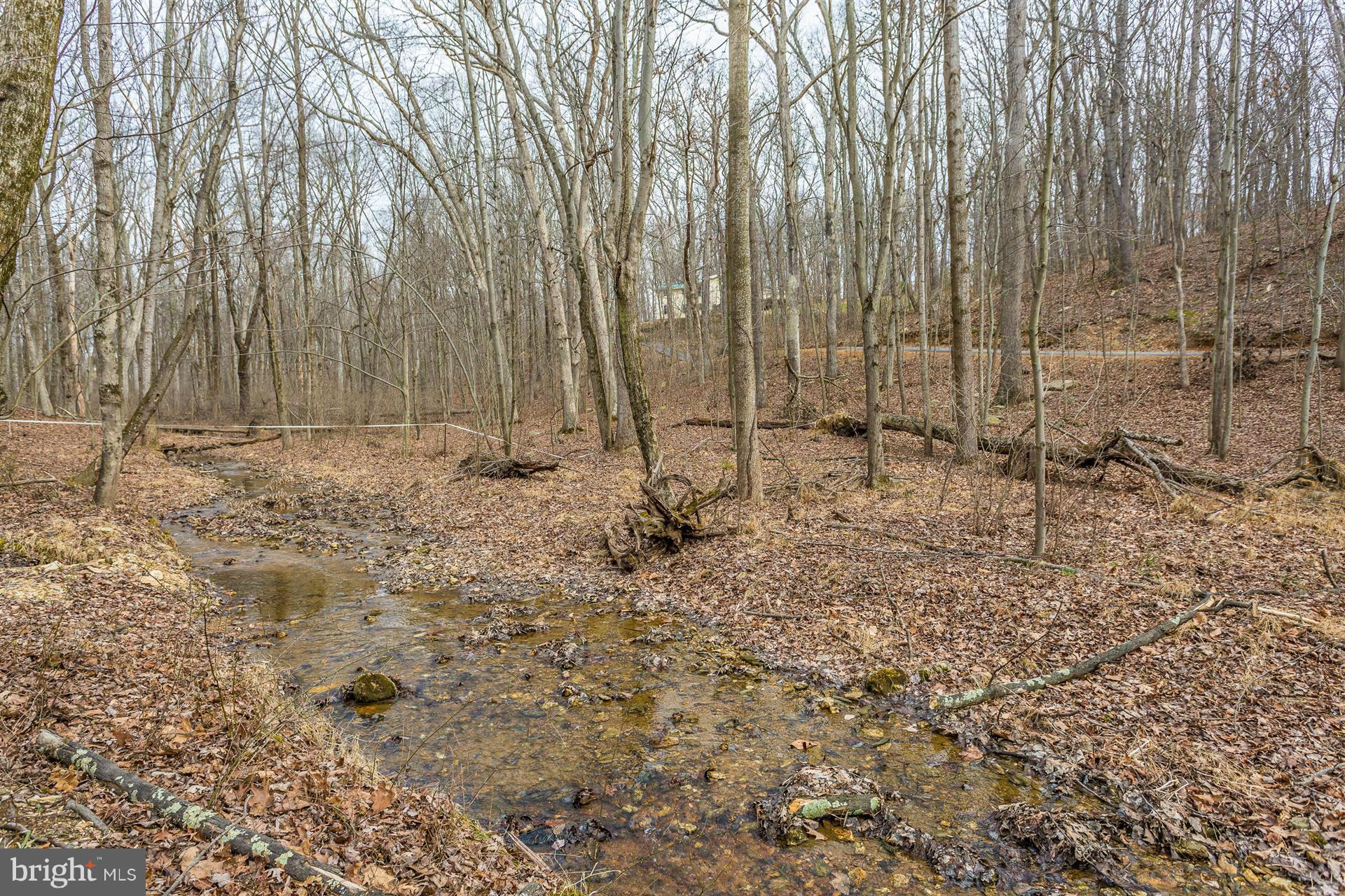 18350 New Cut Road Mount Airy, MD 21771 - Photo 8 of 26 View