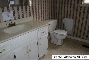 10484 Highway 17 Alabaster, AL 35114 - Photo 10 of 18