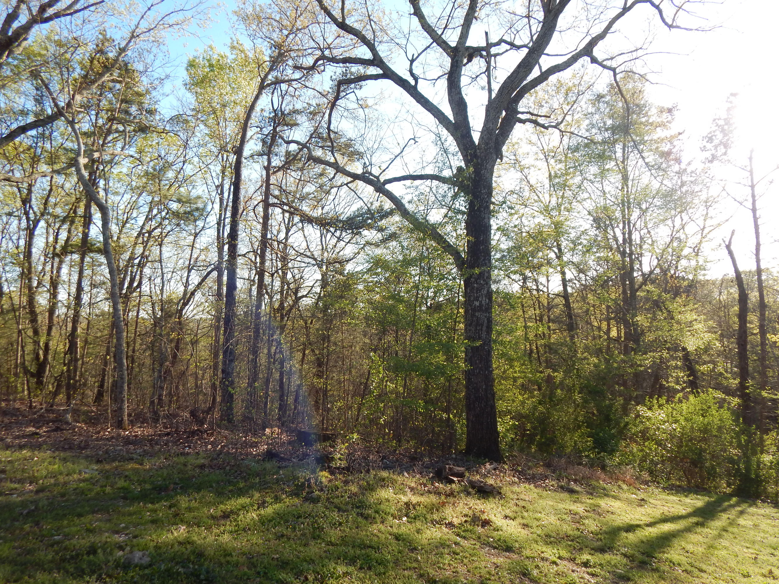 725 Hurricane Creek Road Chattanooga, TN 37421 - Photo 14 of 49 DSCN0225