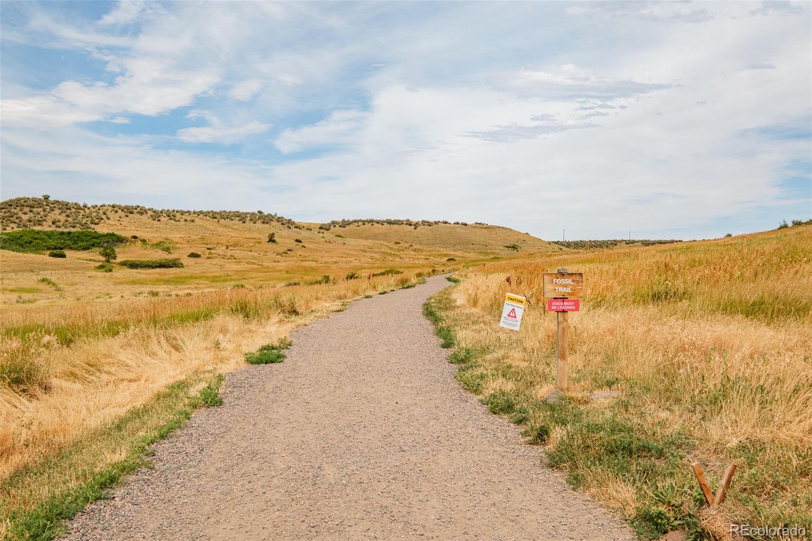 1607 Secrest Street Golden, CO 80401 - Photo 44 of 50