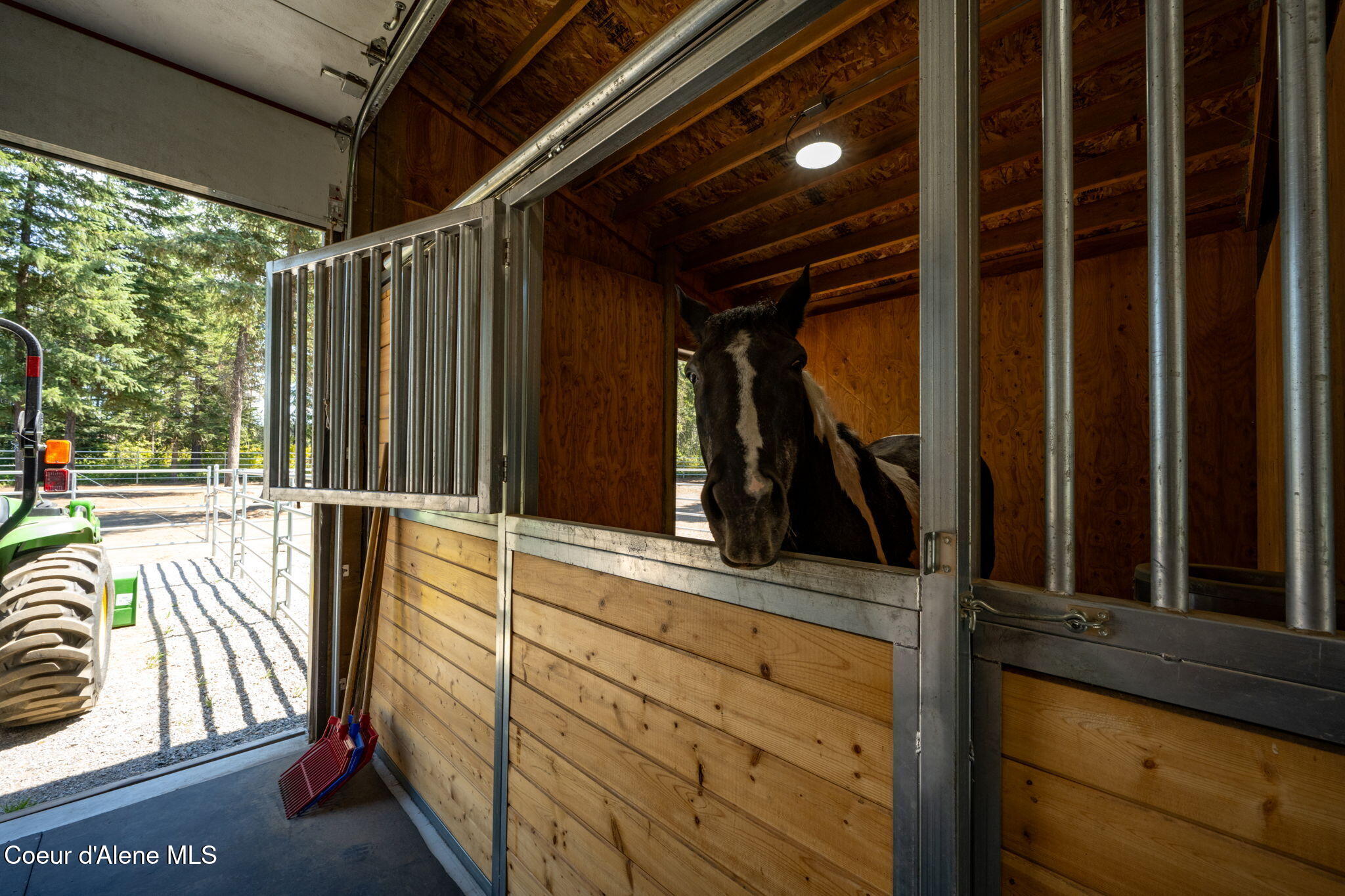 1609 East Amulet Circle Rathdrum, ID 83858 - Photo 50 of 68 Hello gorgeous!