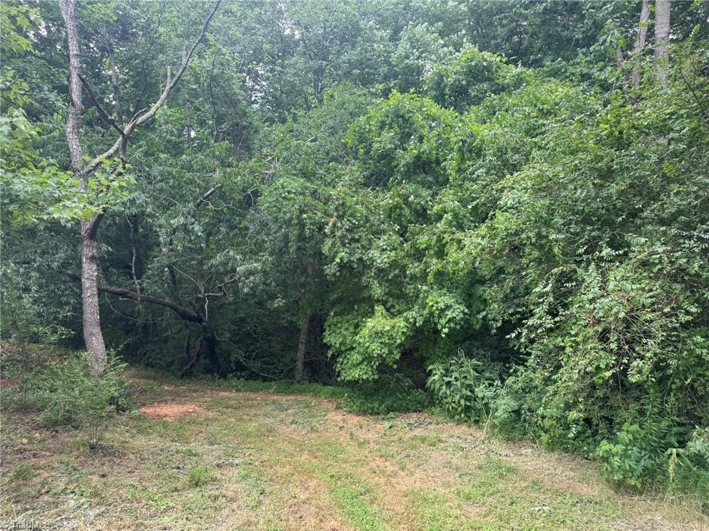 3028 Quaker Church Road Pinnacle, NC 27043 - Photo 36 of 36