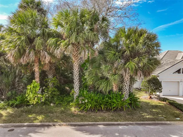a plant that is sitting in the middle of a yard