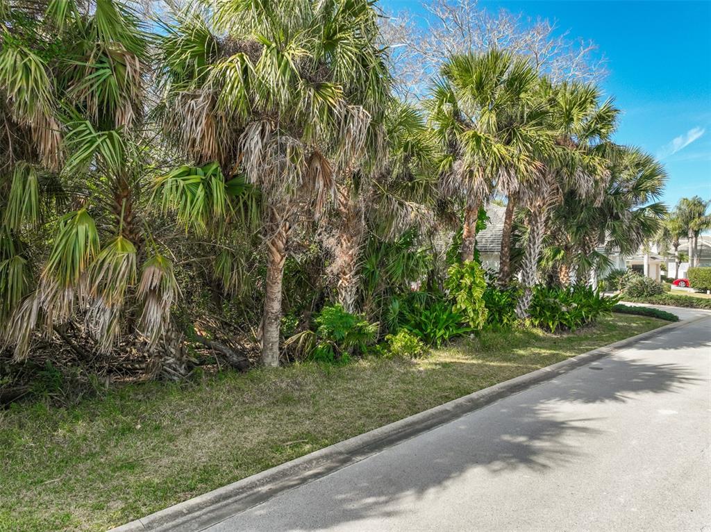 49 Longview Way North Palm Coast, FL 32137 - Photo 20 of 43 a view of a yard