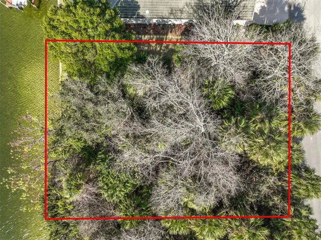 a view of a garden with flowers