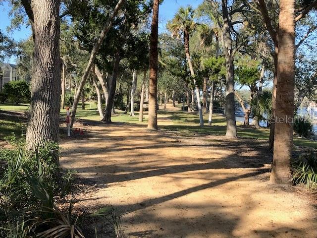 49 Longview Way North Palm Coast, FL 32137 - Photo 28 of 43 a view of park with trees