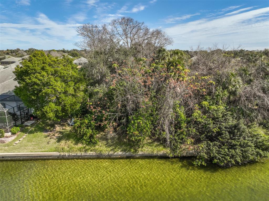 49 Longview Way North Palm Coast, FL 32137 - Photo 3 of 43 a view of a lake from a yard