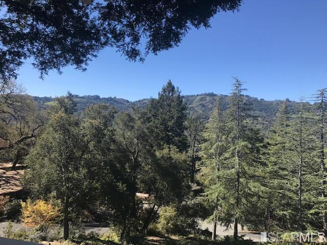 2 Oriole Road Orinda, CA 94563 - Photo 22 of 22 a view of a tree in a field with a tree in the background