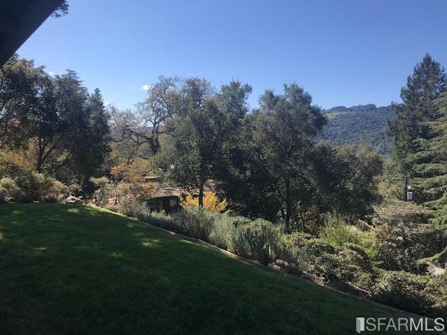 2 Oriole Road Orinda, CA 94563 - Photo 4 of 22 a view of a yard with a tree