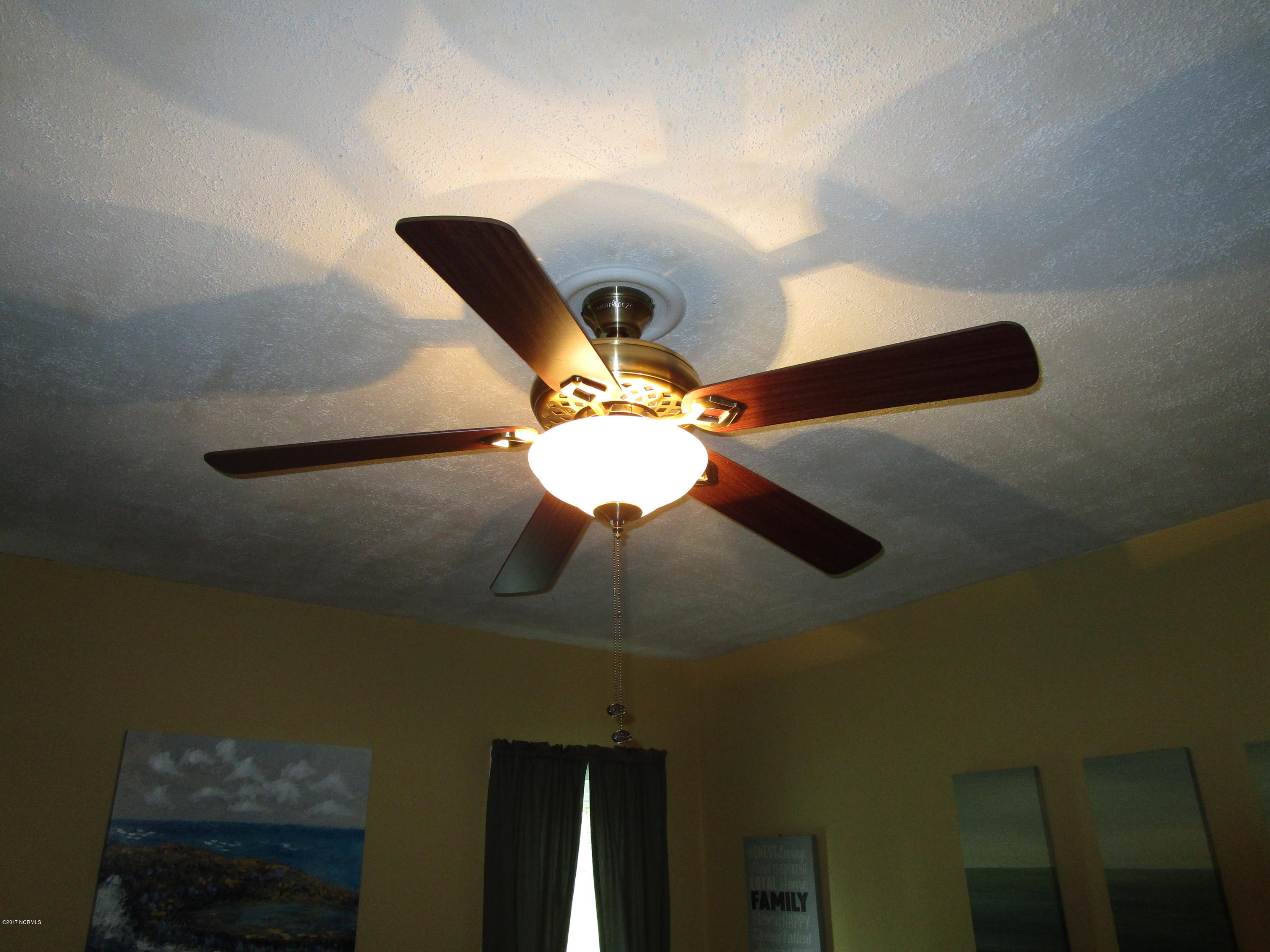 1541 Arthur Modlin Road Jamesville, NC 27846 - Photo 8 of 26 IMG_0215