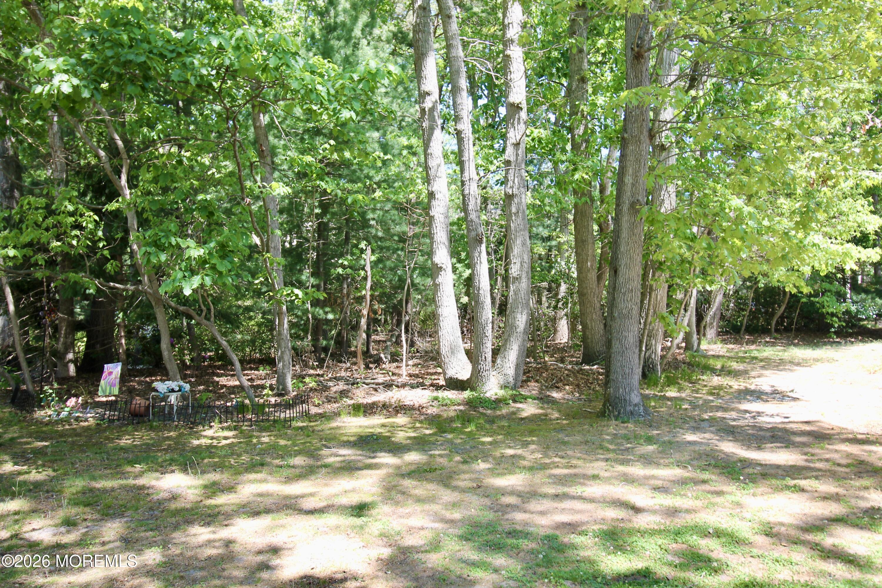 111 Azalea Circle Jackson, NJ 08527 - Photo 44 of 44 IMG_7664