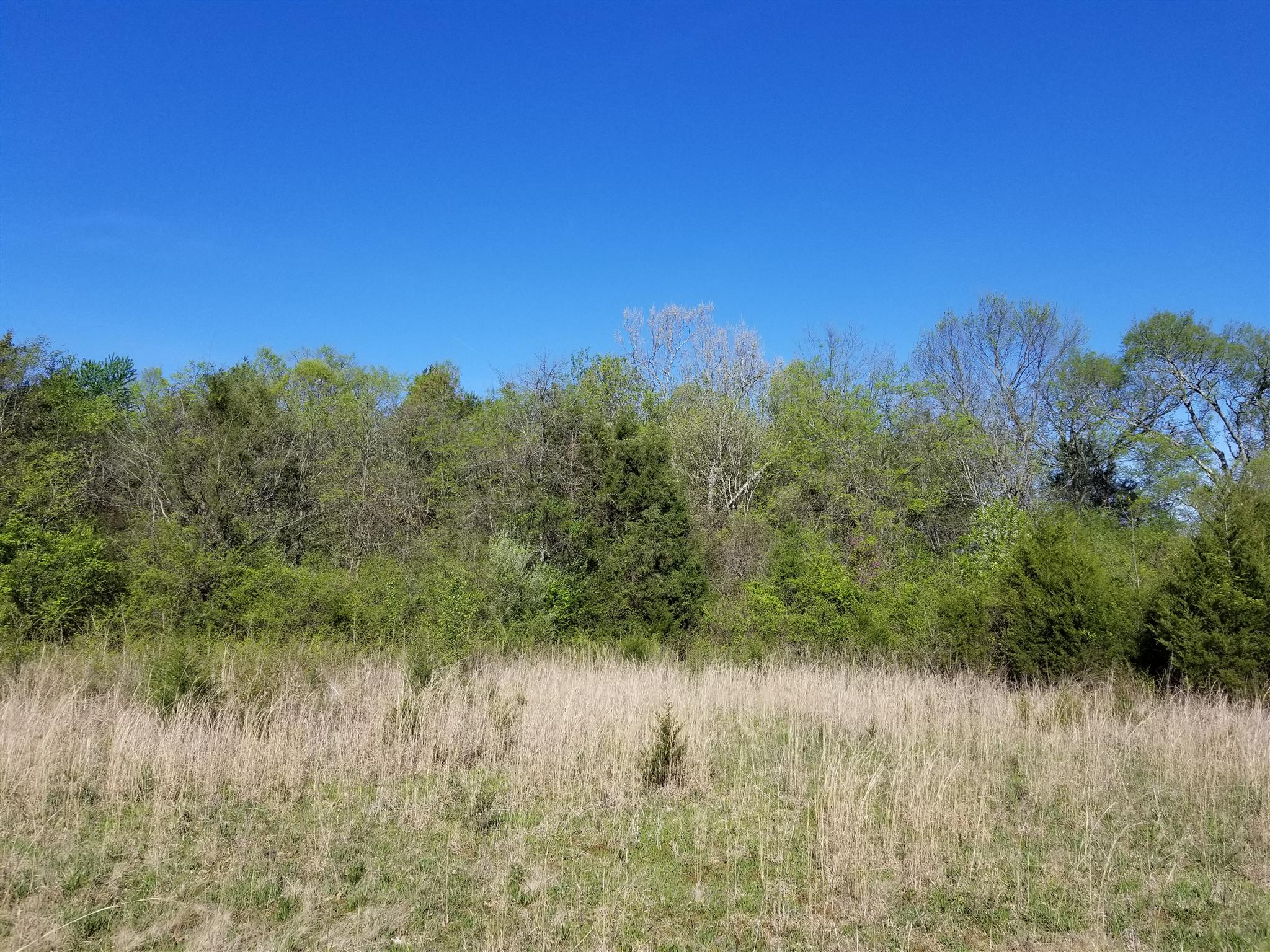 1680 Franklin Road Lebanon, TN 37090 - Photo 2 of 2