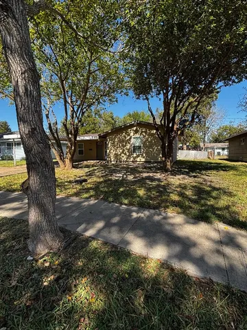 a view of a yard with a tree