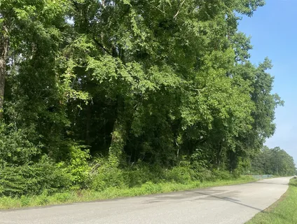 $110,000 | Tbd Independence Drive, Shepherd, TX 77371