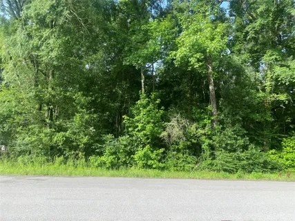 $110,000 | Tbd Independence Drive, Shepherd, TX 77371