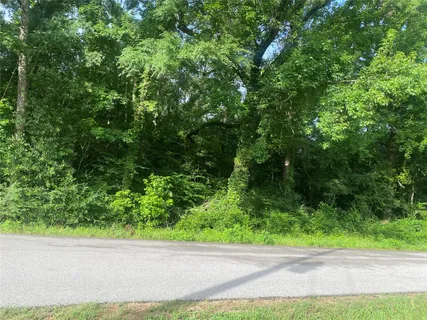 $110,000 | Tbd Independence Drive, Shepherd, TX 77371