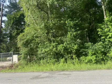 $110,000 | Tbd Independence Drive, Shepherd, TX 77371