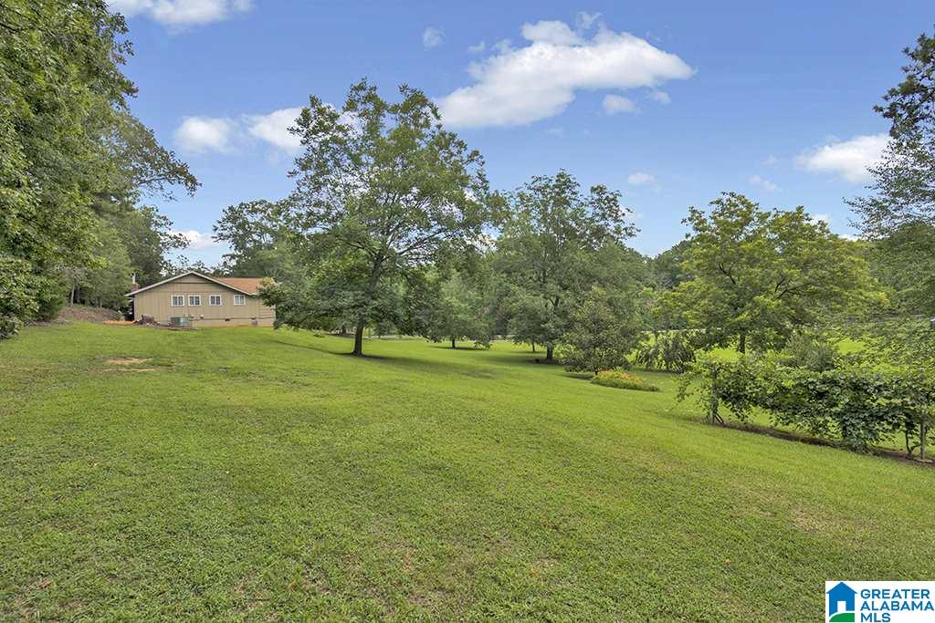 300 Greensport Road Ashville, AL 35953 - Photo 19 of 20