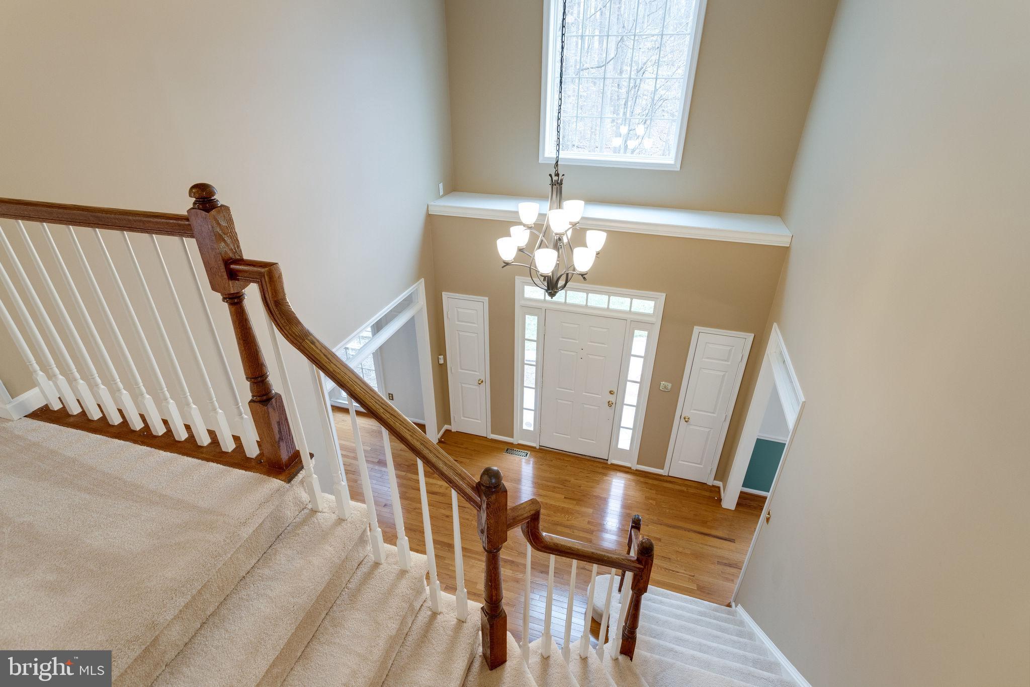 8548 Hooes Road Springfield, VA 22153 - Photo 27 of 53 New Plush Carpet on Upper Level