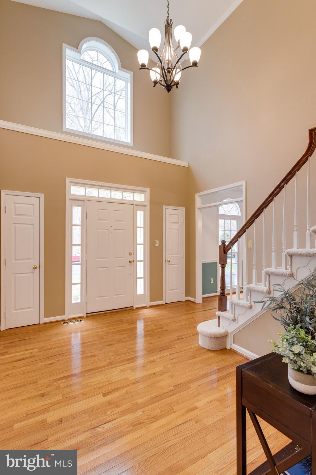 8548 Hooes Road Springfield, VA 22153 - Photo 4 of 53 Two Story Foyer with Lots of Natural Light