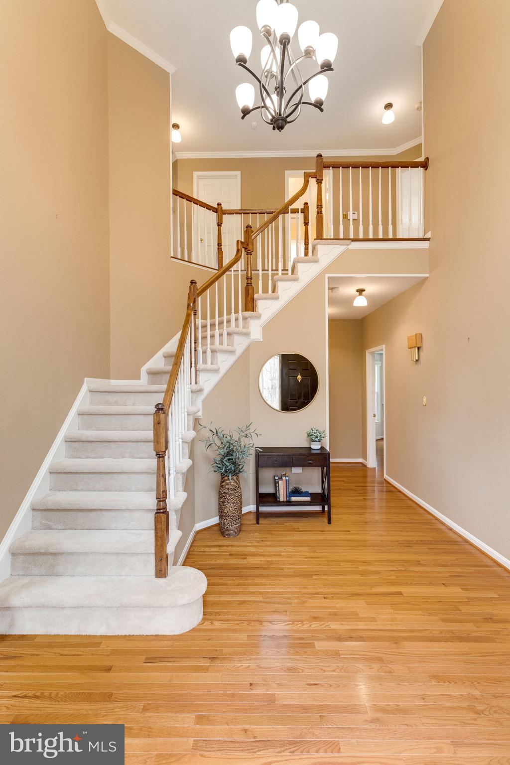 8548 Hooes Road Springfield, VA 22153 - Photo 5 of 53 Updated Lighting Fixtures