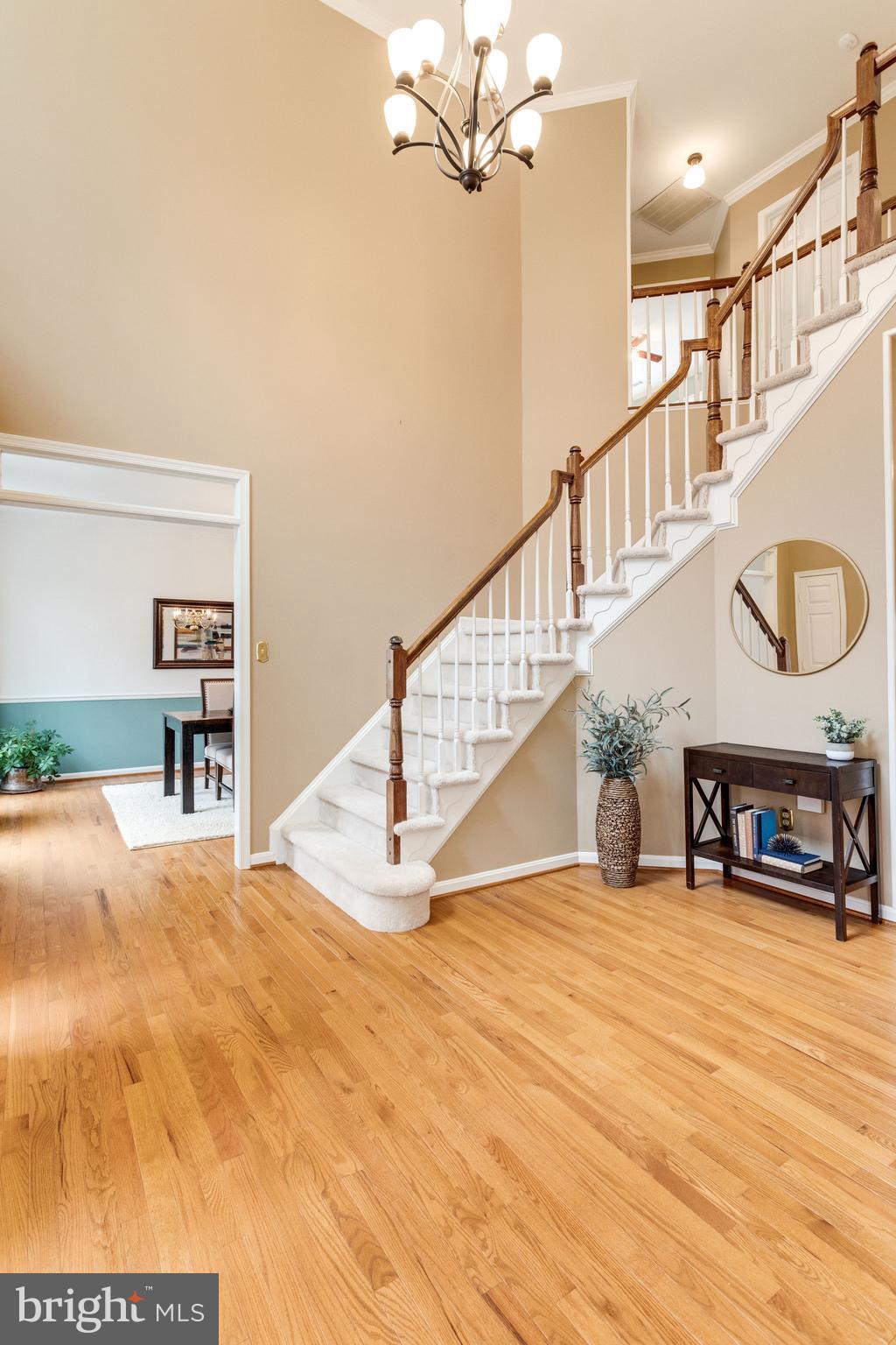 8548 Hooes Road Springfield, VA 22153 - Photo 9 of 53 Gleaming Hardwood Floors