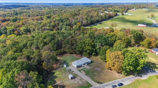 an aerial view of forest